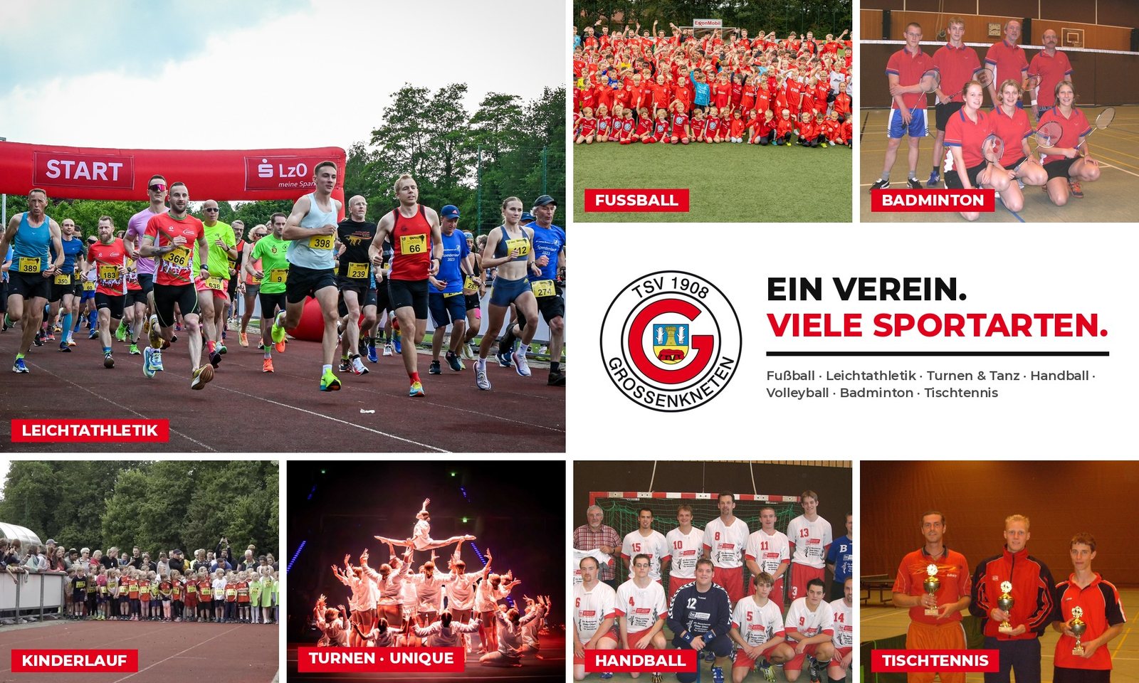 Ein Verein, viele Sportarten: Collage aus den Abteilungen des TSV
